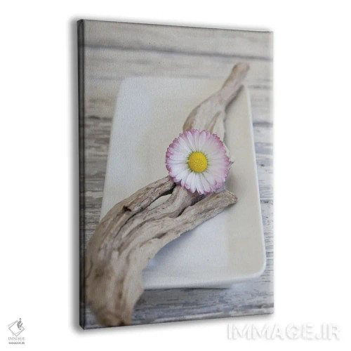 تابلو دکوراتیو چوب و گل داوودی به سبک ذن اثر آندریا هازه - نمای پرسپکتیو محصول
