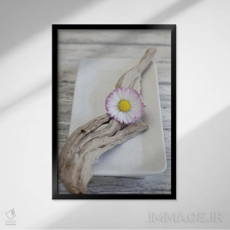 تابلو دکوراتیو چوب و گل داوودی به سبک ذن اثر آندریا هازه - نمای قابدار مشکی