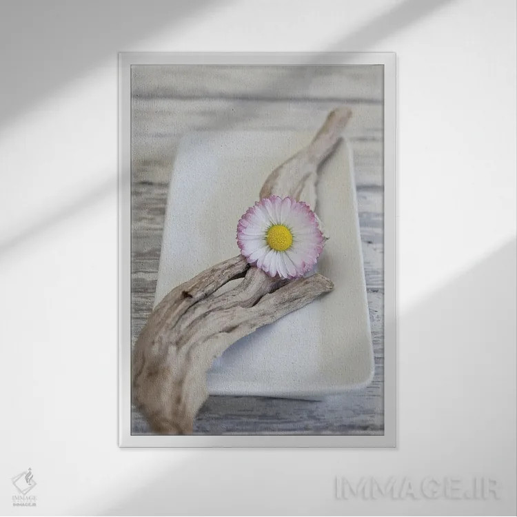 تابلو دکوراتیو چوب و گل داوودی به سبک ذن اثر آندریا هازه - نمای قابدار سفید