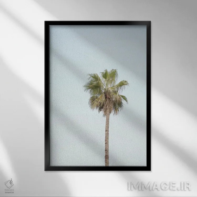 تابلو دکوراتیو درخت نخل کالیفرنیا اثر هنریکه شنک - نمای قابدار مشکی