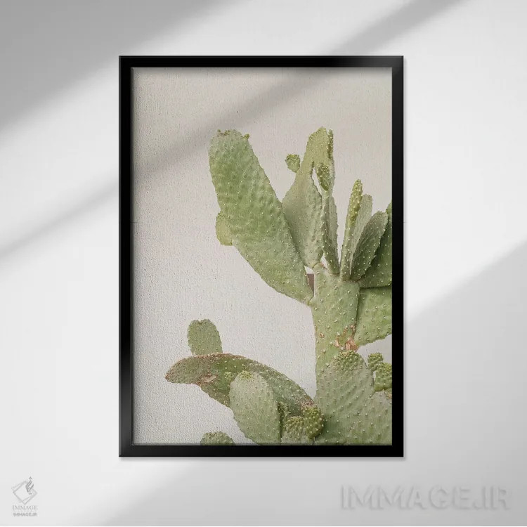 تابلو دکوراتیو گیاه کاکتوس روی زمینه سفید اثر هنریکه شنک - نمای قابدار مشکی