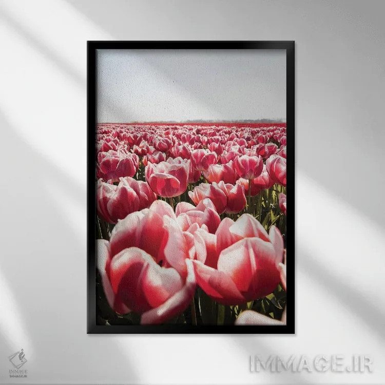 تابلو دکوراتیو مزرعه لاله در هلند اثر هنریکه شنک - نمای قابدار مشکی