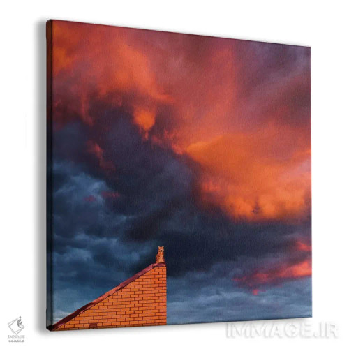 تابلو دکوراتیو گربه توتورو اثر هوبوپیبا - نمای پرسپکتیو محصول