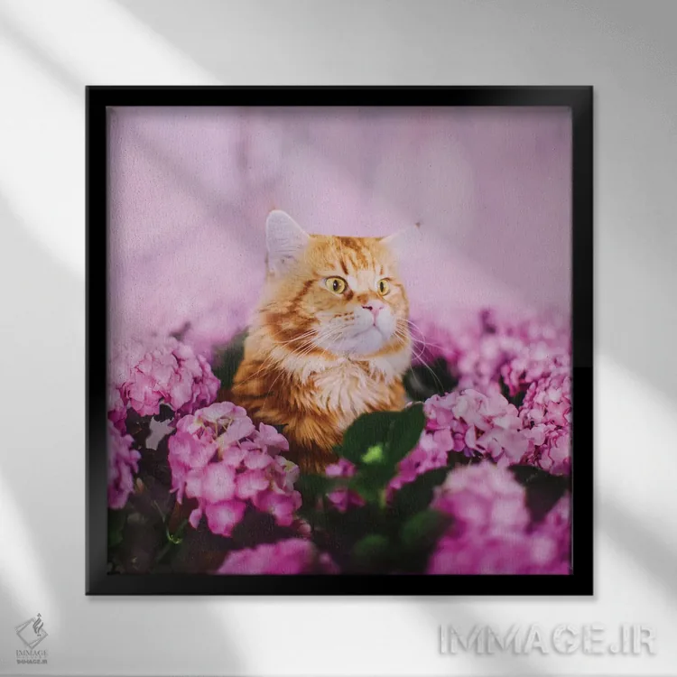 تابلو دکوراتیو چه چیزی اثر هوبوپیبا - نمای قابدار مشکی