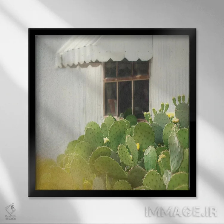 تابلو دکوراتیو "کاکتوس و پنجره" اثر مندی لین - نمای قابدار مشکی