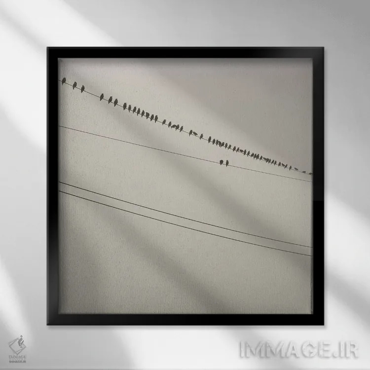 تابلو دکوراتیو پرندگان روی سیم اثر مندی لین - نمای قابدار مشکی