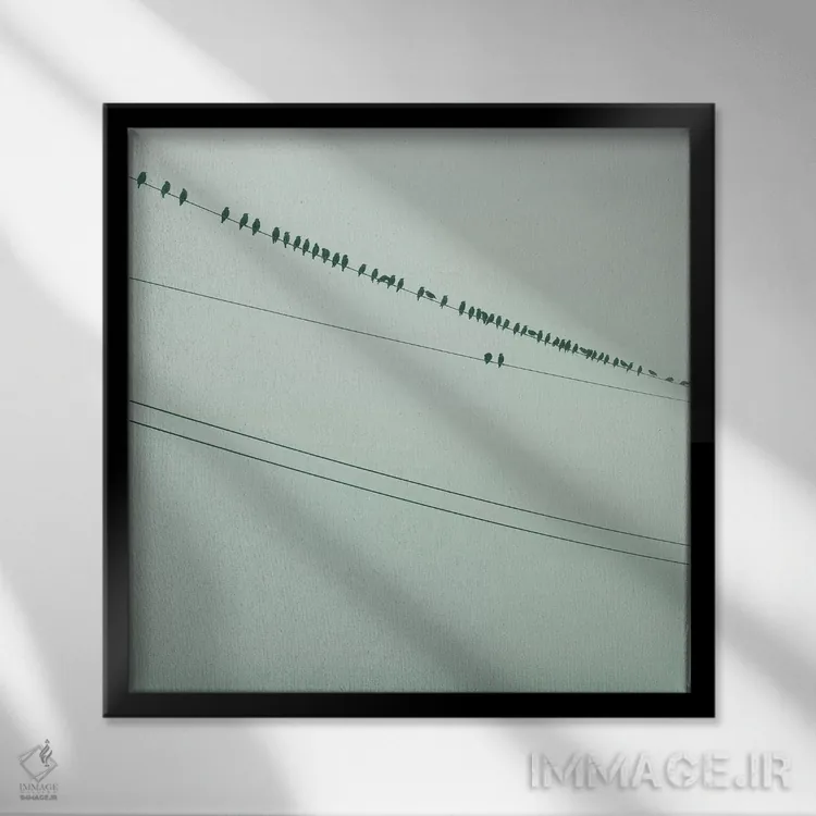 تابلو دکوراتیو پرندگان روی سیم سبز اثر مندی لین - نمای قابدار مشکی