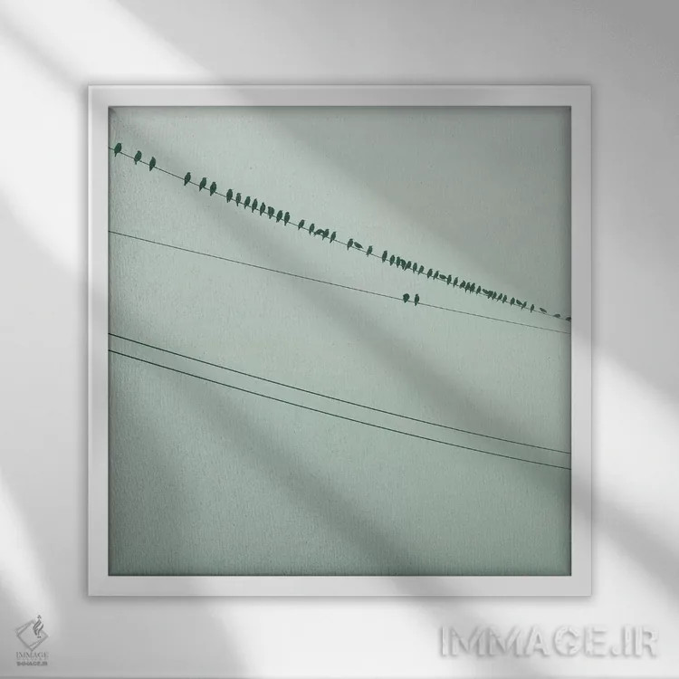 تابلو دکوراتیو پرندگان روی سیم سبز اثر مندی لین - نمای قابدار سفید