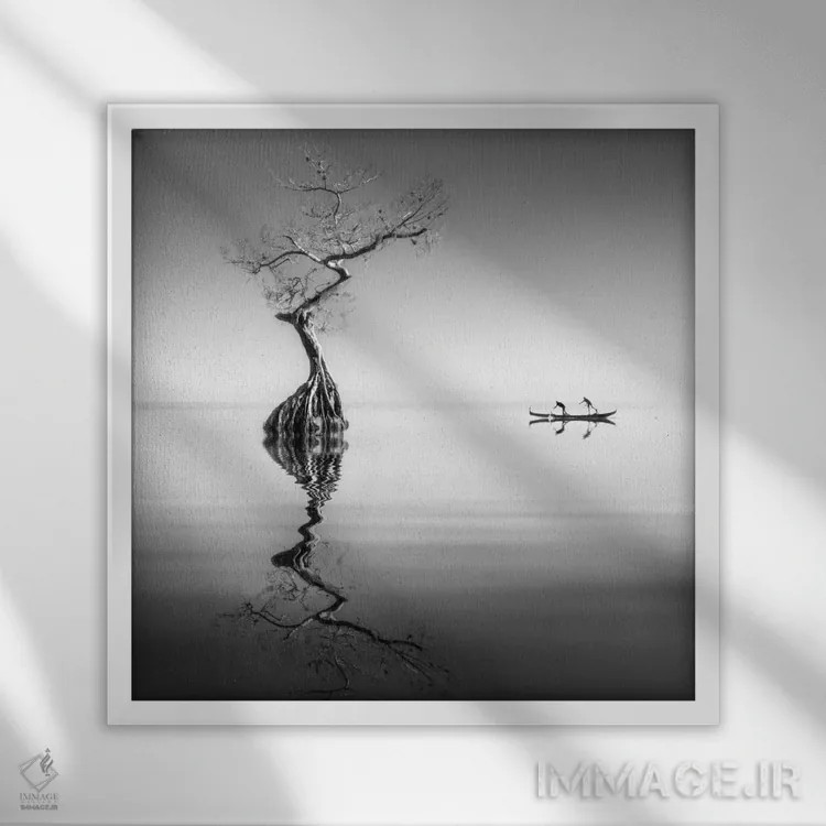 تابلو دکوراتیو آرمونیا اثر موایسس لوی - نمای قابدار سفید