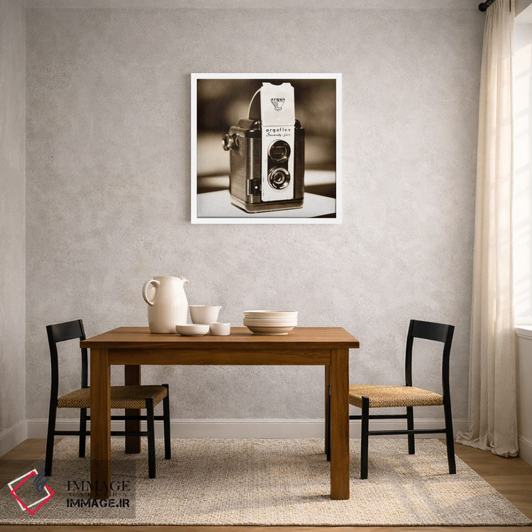 تابلو دکوراتیو آرگوس قدیمی اثر عکاسی ام اسکات - D2W