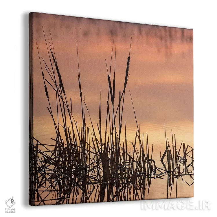 تابلو دکوراتیو Bosque del Apache National Wildlife Refuge, New Mexico,گیا… اثر مارسا پرایور - نمای پرسپکتیو محصول