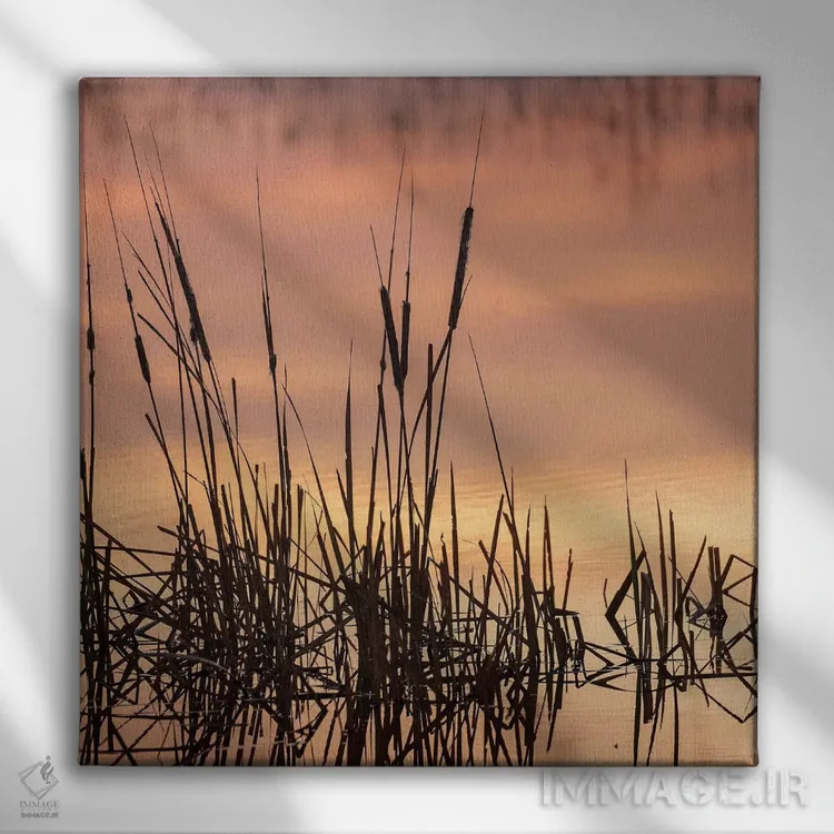 تابلو دکوراتیو Bosque del Apache National Wildlife Refuge, New Mexico,گیا… اثر مارسا پرایور - نمای روبهرو روی دیوار