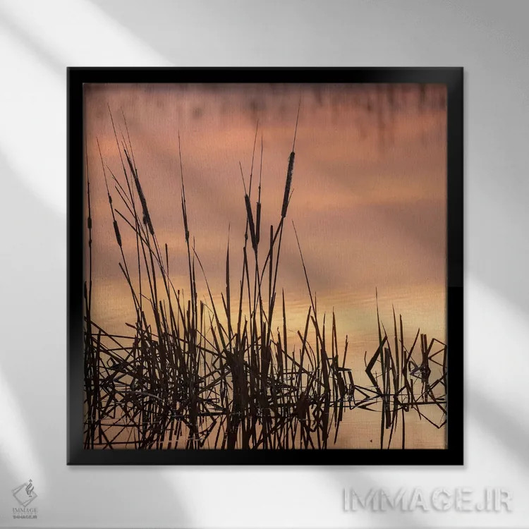 تابلو دکوراتیو Bosque del Apache National Wildlife Refuge, New Mexico,گیا… اثر مارسا پرایور - نمای قابدار مشکی