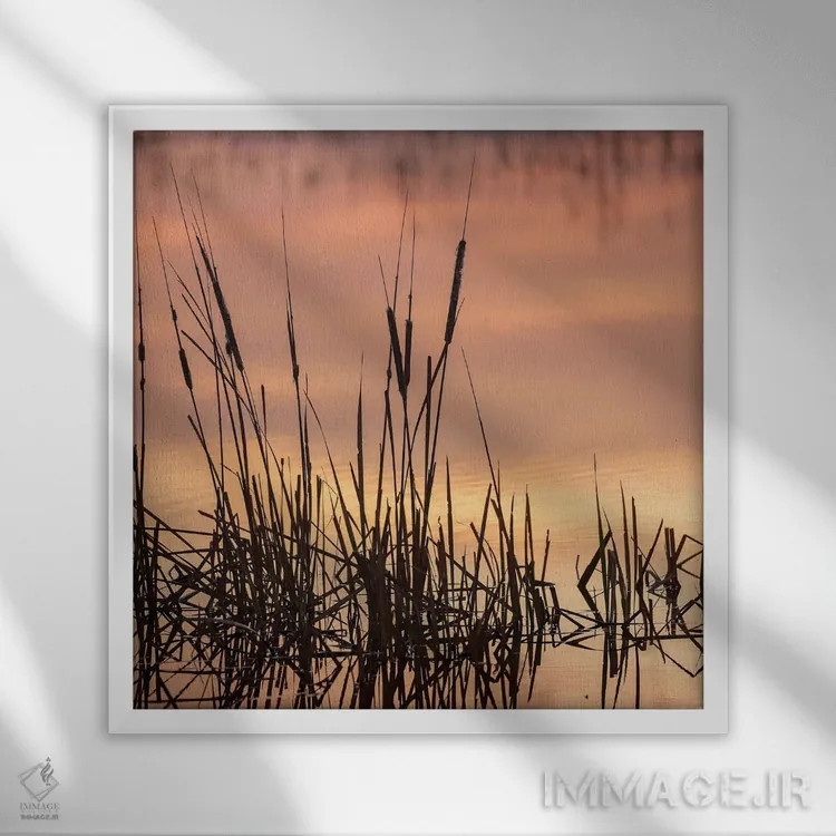 تابلو دکوراتیو Bosque del Apache National Wildlife Refuge, New Mexico,گیا… اثر مارسا پرایور - نمای قابدار سفید