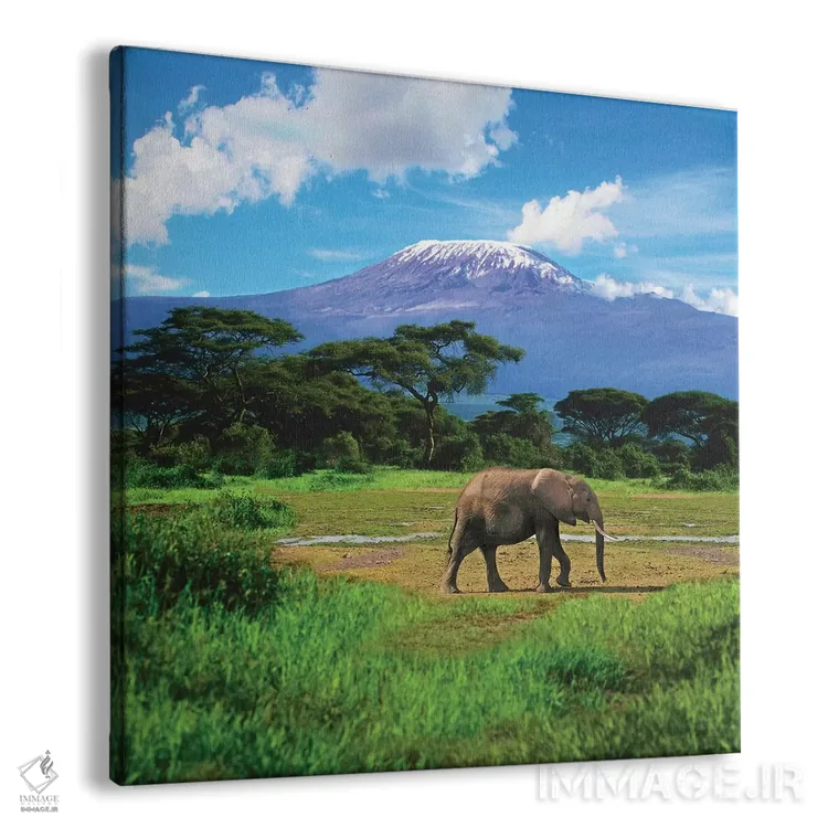 تابلو دکوراتیو Amboseli National Park, Kenya,فیل آفریقایی تنها با کوه کلیما… اثر میوا استاک - نمای پرسپکتیو محصول