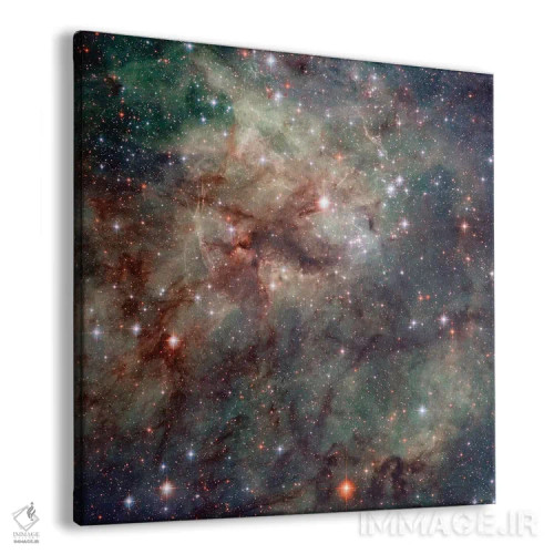 تابلو دکوراتیو نمای نزدیک NGC 2060 و NGC 2070، سحابی تارانتولا اثر ناسا - نمای پرسپکتیو محصول