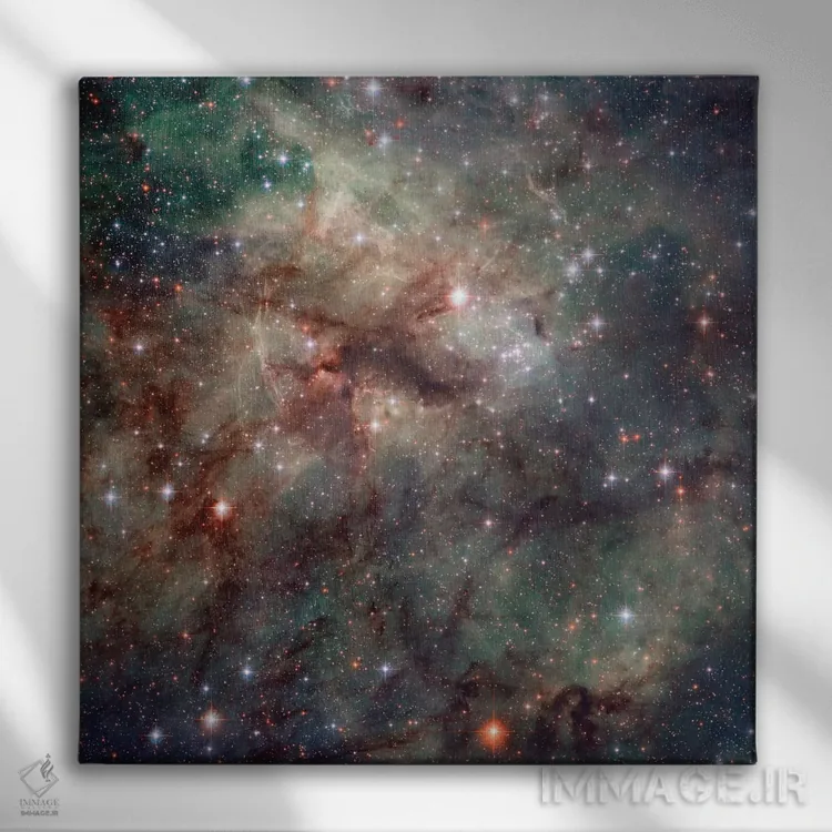 تابلو دکوراتیو نمای نزدیک NGC 2060 و NGC 2070، سحابی تارانتولا اثر ناسا - نمای روبهرو روی دیوار