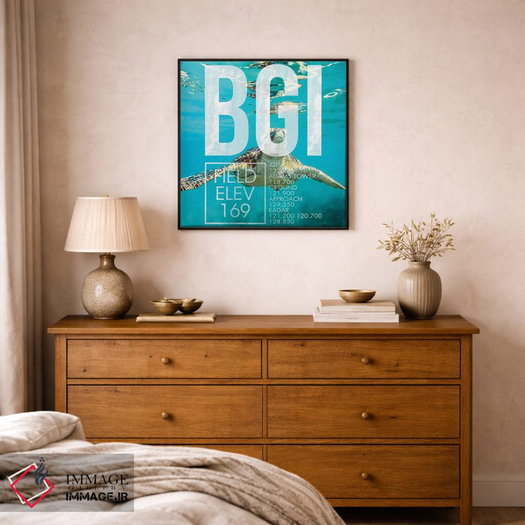تابلو دکوراتیو پخش زنده BGI اثر ۰۸ لفت - D1B