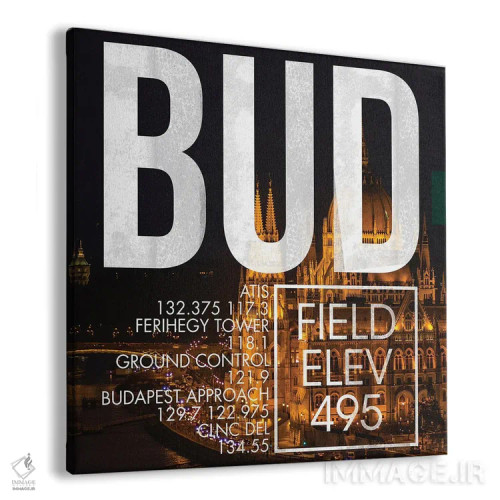 تابلو دکوراتیو پخش زنده BUD اثر ۰۸ لفت - نمای پرسپکتیو محصول
