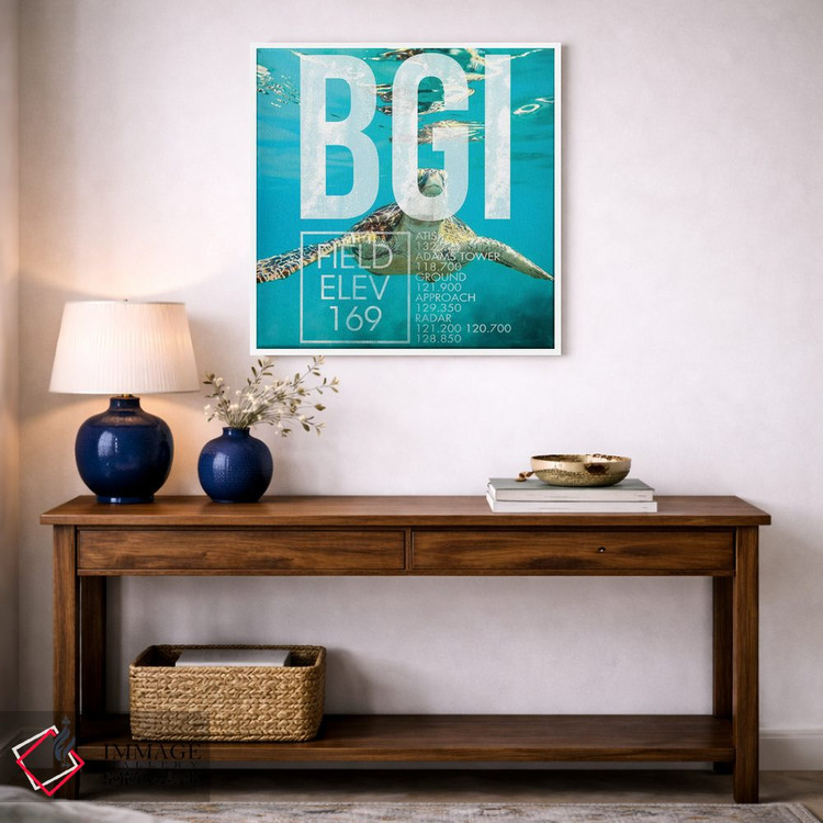 تابلو دکوراتیو پخش زنده BGI اثر ۰۸ لفت - D4W