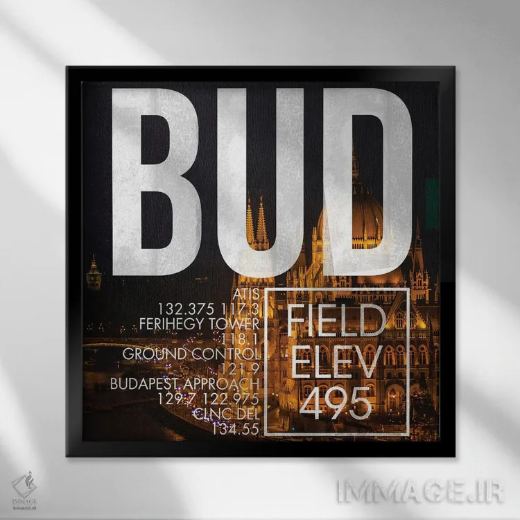 تابلو دکوراتیو پخش زنده BUD اثر ۰۸ لفت - نمای قابدار مشکی