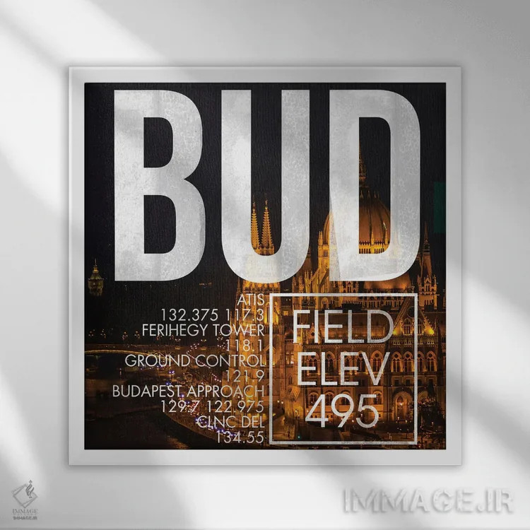 تابلو دکوراتیو پخش زنده BUD اثر ۰۸ لفت - نمای قابدار سفید