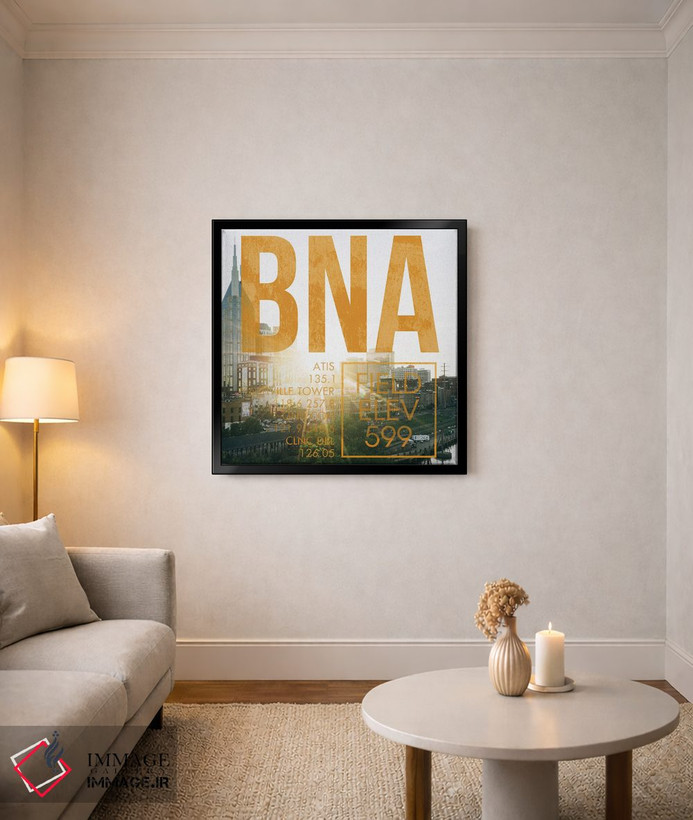 تابلو دکوراتیو پخش زنده BNA اثر ۰۸ لفت - D6B