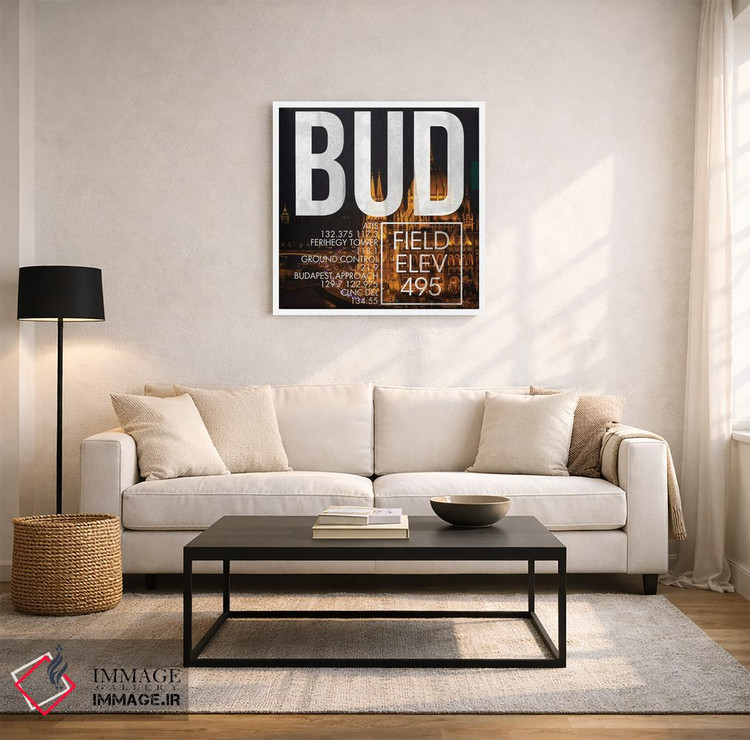 تابلو دکوراتیو پخش زنده BUD اثر ۰۸ لفت - D2W