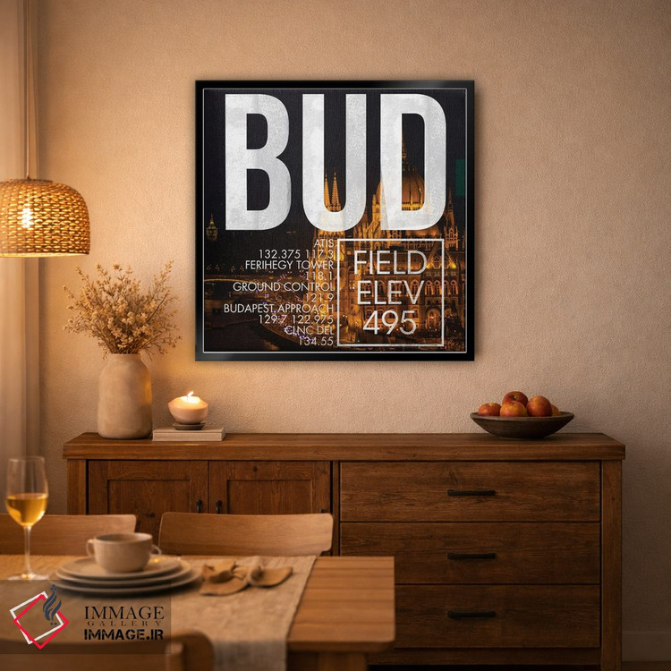 تابلو دکوراتیو پخش زنده BUD اثر ۰۸ لفت - D3B
