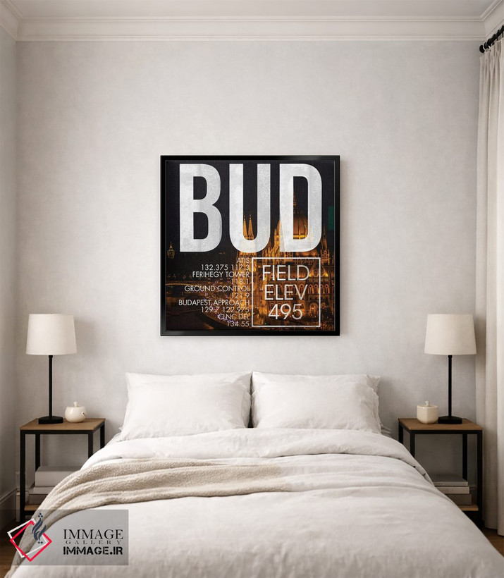 تابلو دکوراتیو پخش زنده BUD اثر ۰۸ لفت - D4B