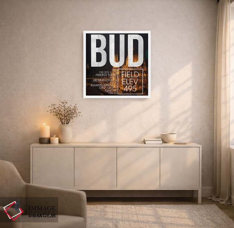 تابلو دکوراتیو پخش زنده BUD اثر ۰۸ لفت - D5W