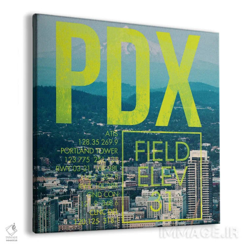 تابلو دکوراتیو پخش زنده PDX اثر ۰۸ لفت - نمای پرسپکتیو محصول