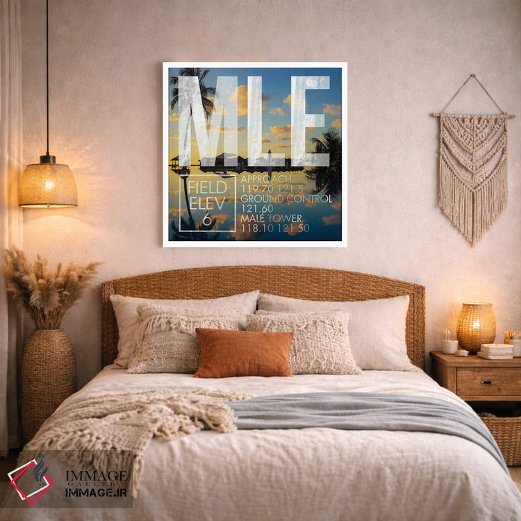 تابلو دکوراتیو پخش زنده MLE اثر ۰۸ لفت - D2W