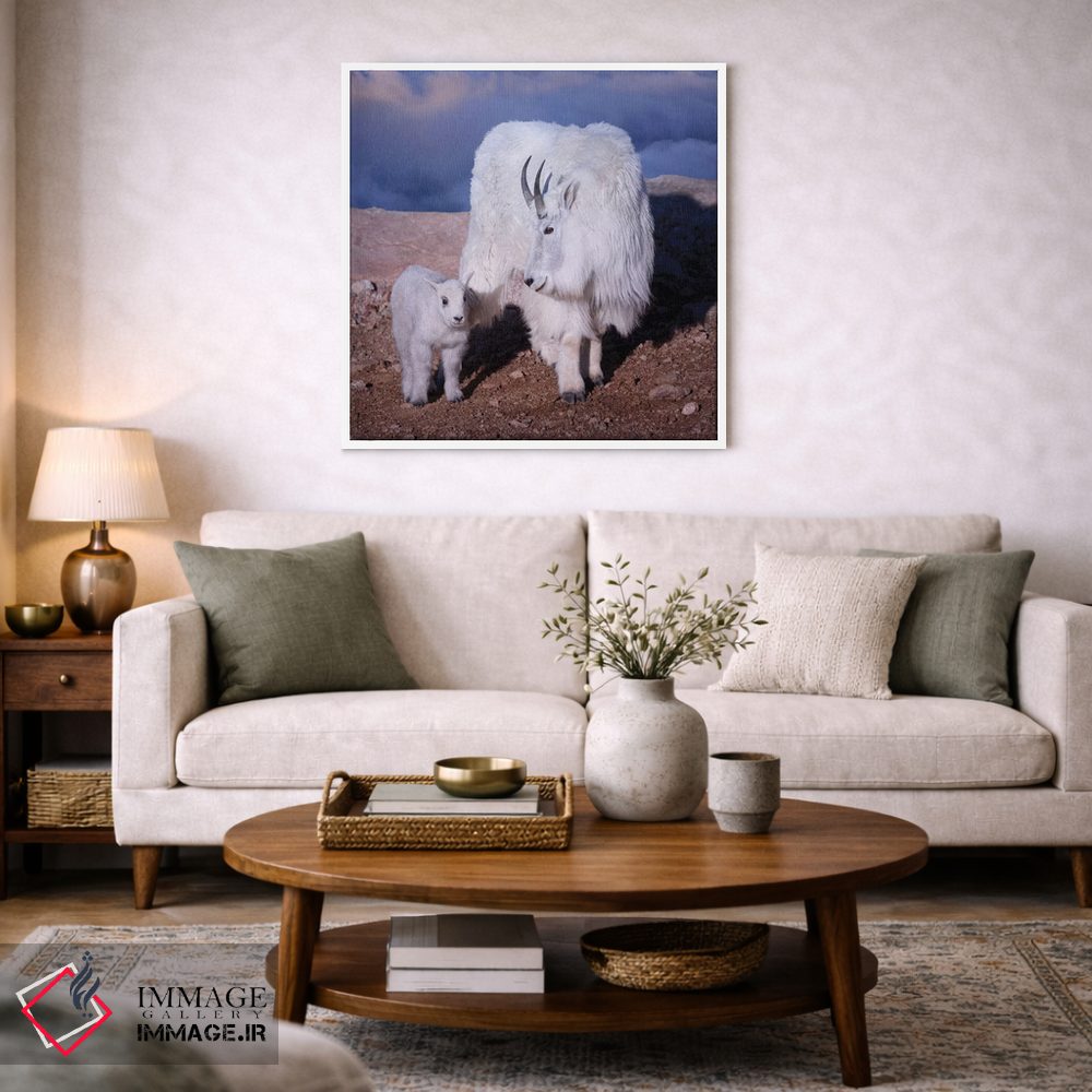 تابلو دکوراتیو بالای ابرها اثر اولنا آرت - D3W