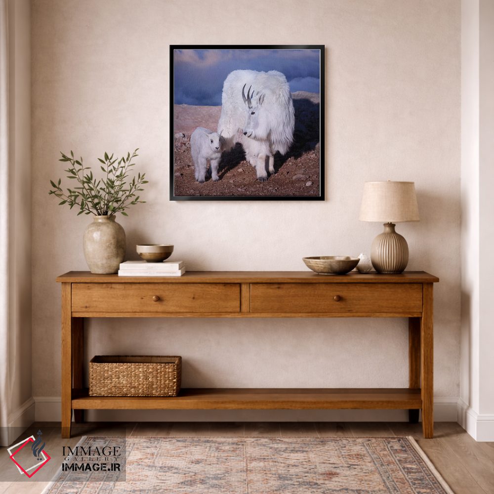 تابلو دکوراتیو بالای ابرها اثر اولنا آرت - D5B