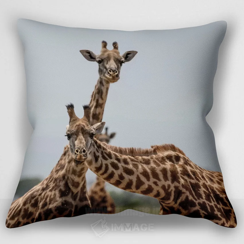کاور کوسن طرح‌دار «Kenya, Amboseli National Park. Close-up of giraffes.,آفریقا، کنیا، پارک ملی آمبوسلی. نمای نزدیک زرافه‌ها»، با رنگ‌های غالب کرم و نارنجی، اثر جینز گالری (گالری هنری/عکس)